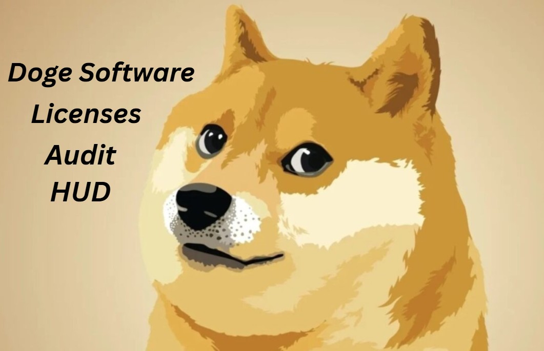 Doge Software Licenses Audit HUD